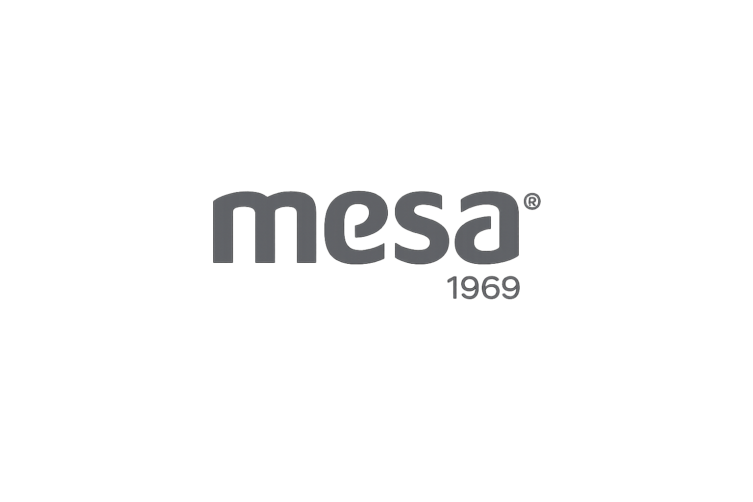 MESA Holding